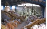 بهانه گیری جدید صادرکنندگان برنج هندی به ایران
