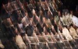 تمهید حمایتی دفتر موسیقی ارشاد برای جبران ضرر «کرونا» به کنسرت‌ها