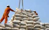 فائو: گرانی جهانی مواد غذایی رکورد ۱۰ ساله زد