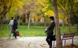 آمار وحشتناک خانوار‌های تک نفره در ایران؛ افراد مجرد دچار اختلالات روانی می‌شوند!